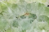 Wide Polished Prehnite Section - Australia #353730-1
